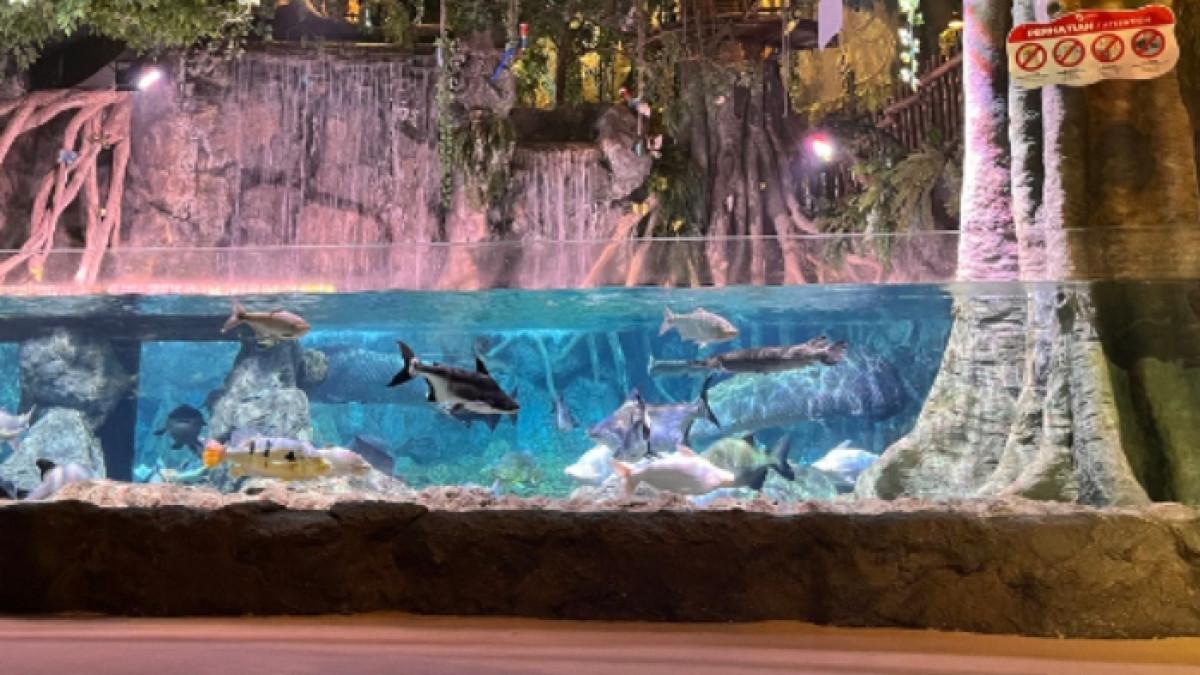 BXSea Bintaro, tempat wisata di Bintaro Tangerang, Banten untuk liburan akhir pekan.