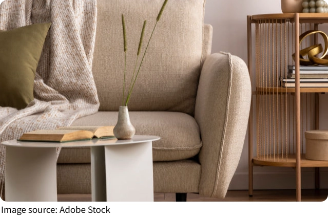 Sofá impecável em minutos