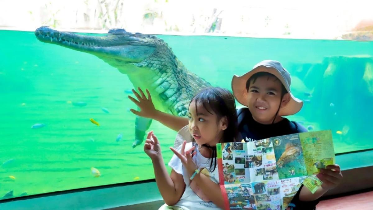 Pengunjung berfoto dengan buaya di Gembira Loka Zoo Jogja.