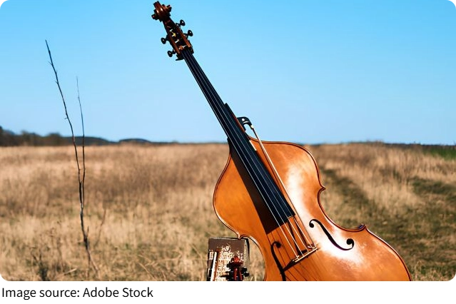 La contrebasse facile