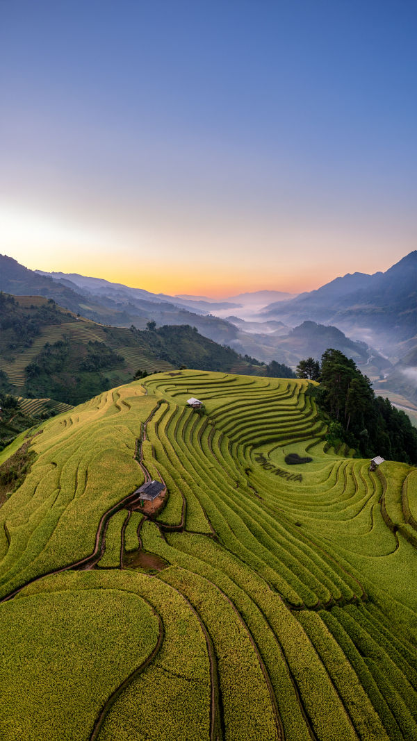 Mu Cang Chai Terraced Wonder