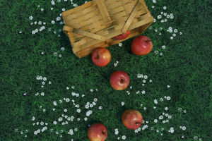 Best Time to Eat Fruits