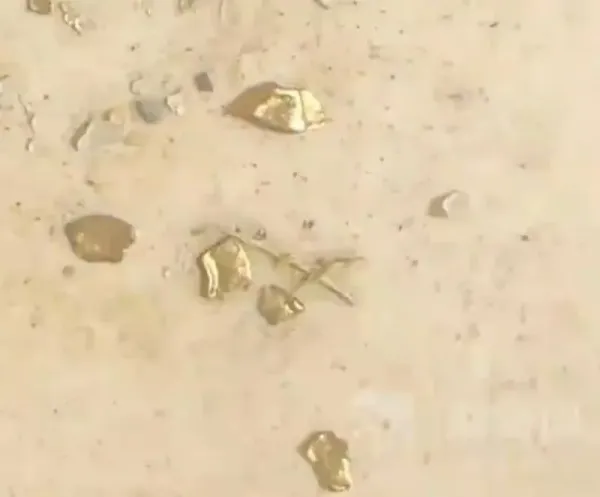 Pria Ini Temukan Emas Rp 43 Juta di Dalam Perut Bebek Pria Ini Temukan Emas Rp 43 Juta di Dalam Perut Bebek