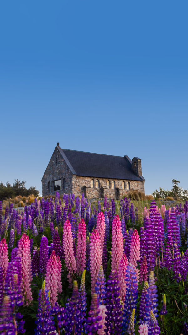 Discover Lake Tekapo