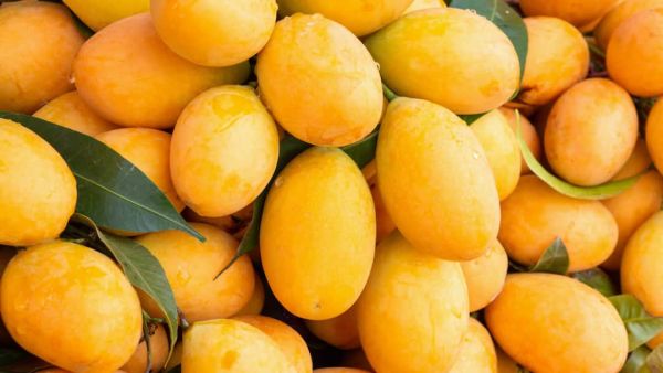 (Image Source: Canva)