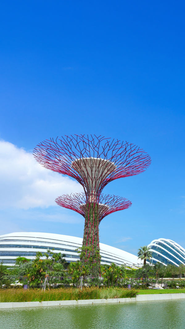 Singapore Garden Escape