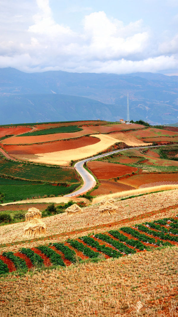Red Earth Panorama