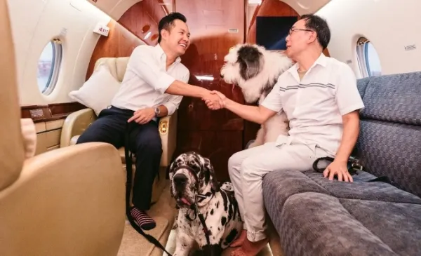 Passengers alongside their pets on a SingaPaw Airs flight. Photo from the airlines website