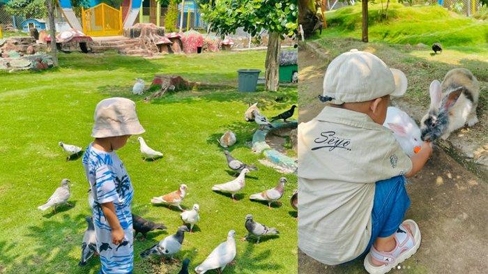 Taman Kelinci KSP Warugunung wisata murah Pacet Mojokerto