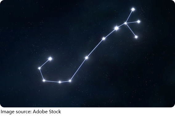 Night Anchors
