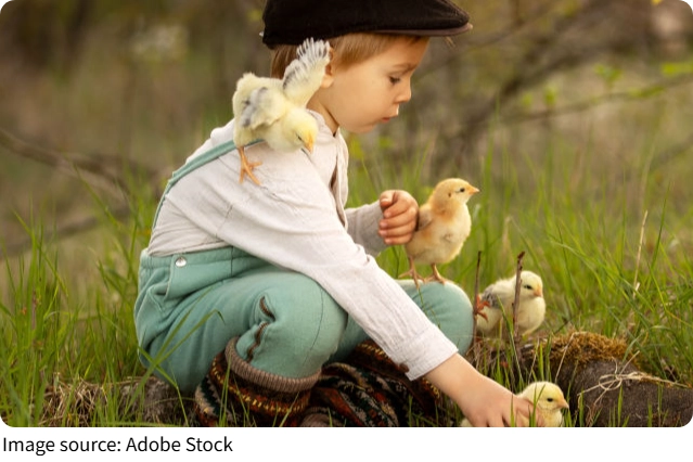 Hühnerhaltung für Kinder