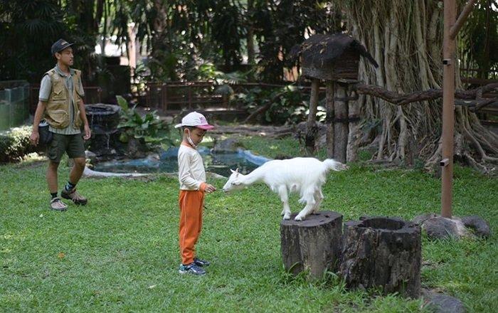 Area petting zoo yang ramah anak di Gembira Loka Zoo, Jogja.