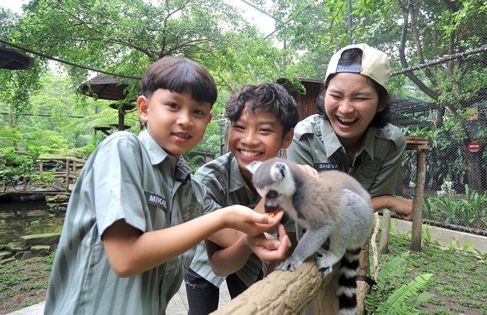 WISATA JOGJA - Pengunjung tengah berinteraksi dengan satwa di Gembira Loka Zoo. 