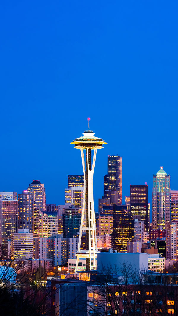 Iconic Views at Space Needle