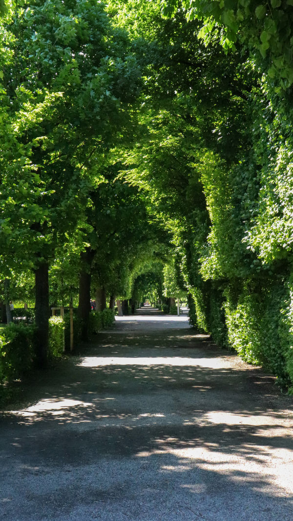 Schönbrunn Palace Park