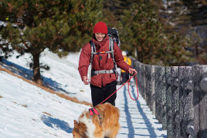 Traveling with Your Pet