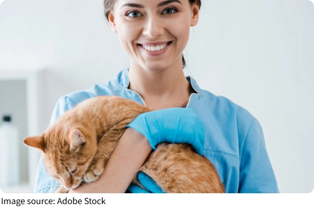 Choosing Pet Medication