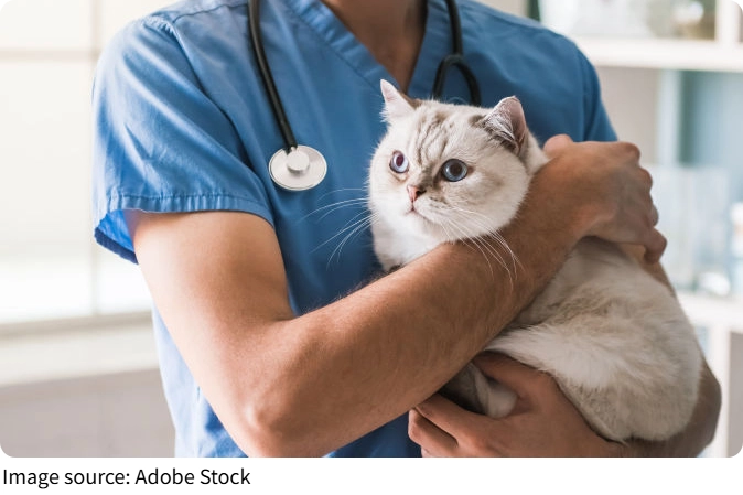 Choosing Pet Medication