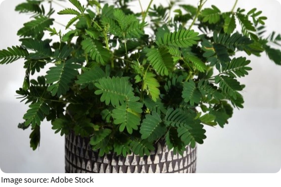 Полив без ошибок