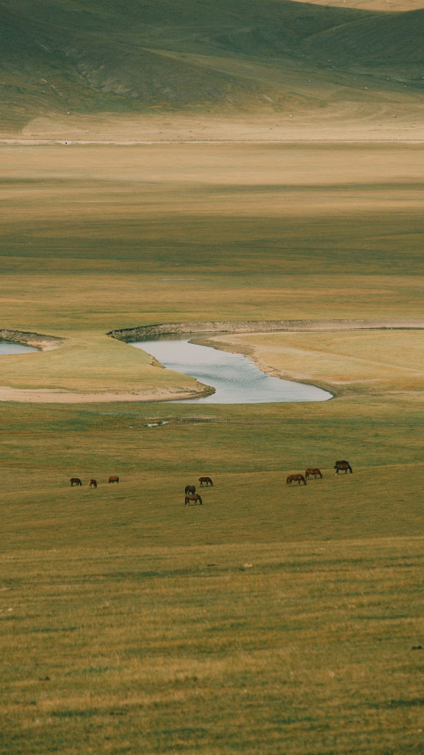 Golden Seasons of Hulunbuir