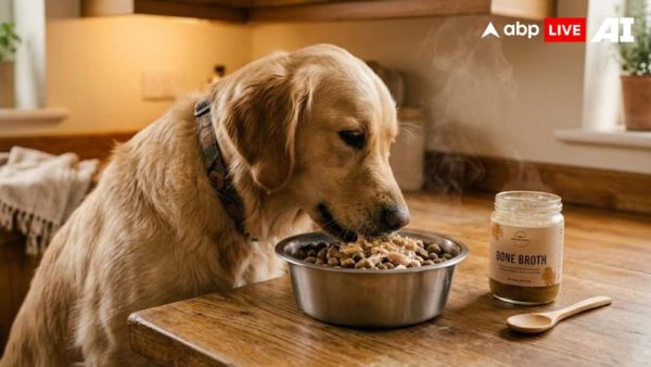 (Image Source: ABPLIVE AI)