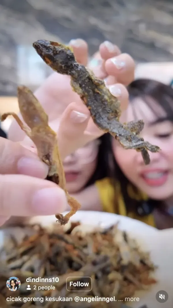 Konten Kreator Ini Nekat Makan Cicak Goreng, Ungkap Bagian Terenak!