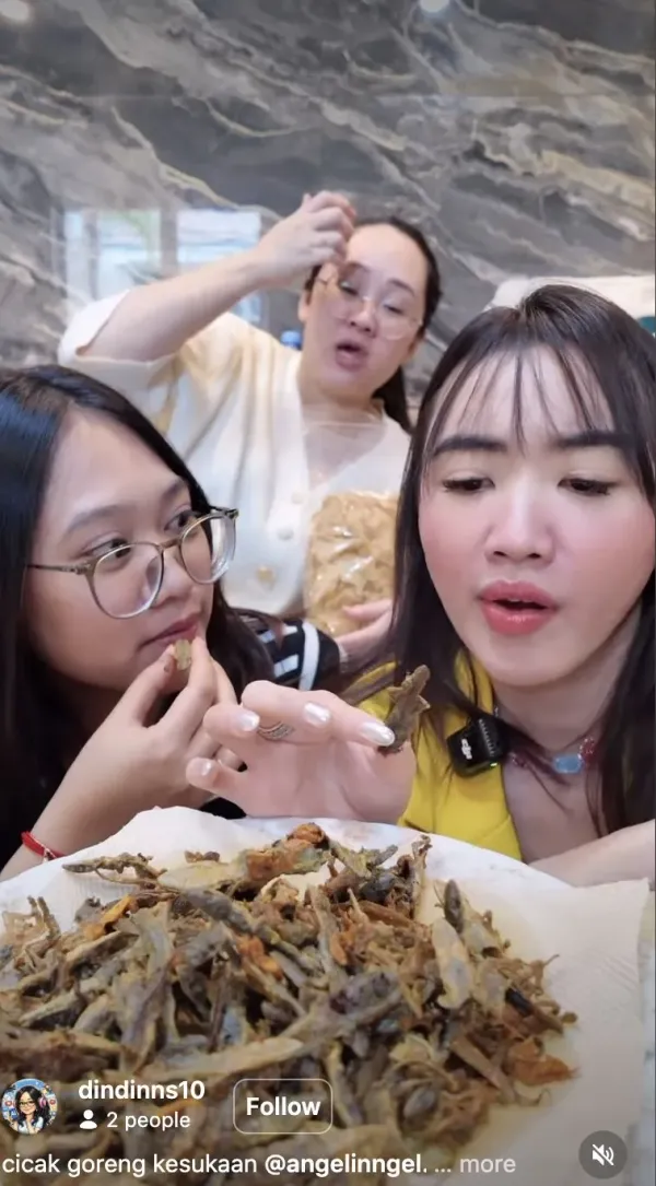 Konten Kreator Ini Nekat Makan Cicak Goreng, Ungkap Bagian Terenak!