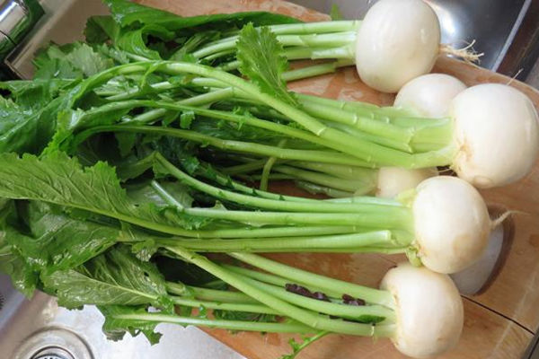 vegetables more calcium than kale bone health tips