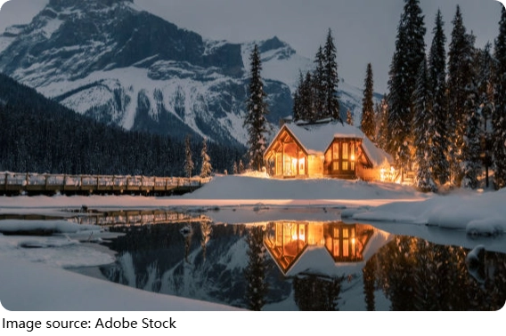 Forest Cabin Retreats