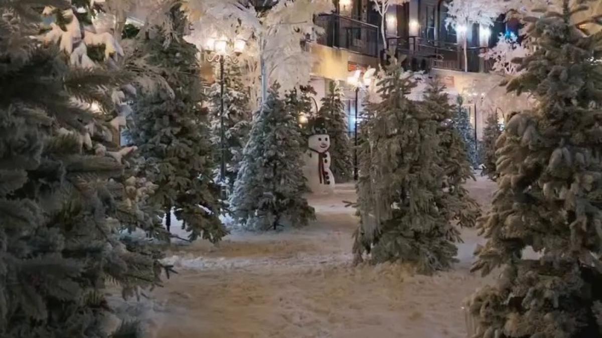 Cari wisata Lebaran 2026 yang beda? Snow Ville Sentul punya sensasi salju dan wahana seru dalam satu tempat!