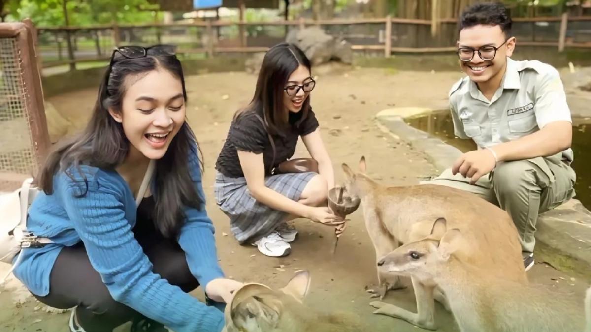 Solo Safari buka setiap hari dengan wahana lengkap, mulai dari Gokart, Scooteria, hingga Savannah Zipline.
