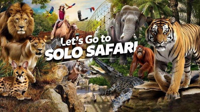 Solo Safari, tempat wisata ramah keluarga di Kota Solo, Jawa Tengah.