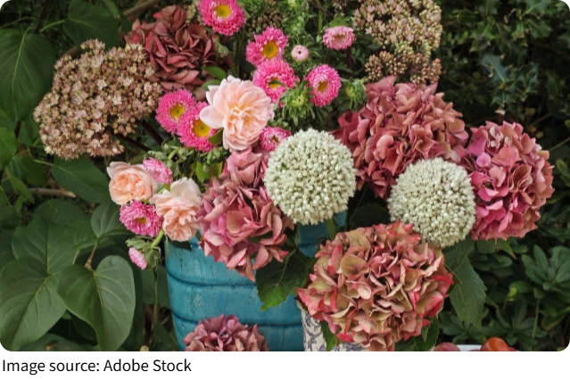 Plantas contra mosquitos?