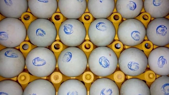 TELUR ASIN NUSANTARA - Potret jejeran 'Telur Asin Nusantara' yang dipotret hari ini di kediaman pengusaha UMKM Sutarni, Jaten, Karanganyar hari ini Kamis(26/3/2026). Kisah 'Telur Asin Nusantara' Mbah Tarni, berawal dari Pandemi Covid-19 hingga kini menjadi UMKM yang menjadi penghasilan Utama.