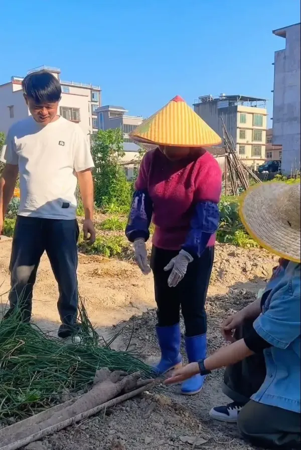 Ubi Bentuk Tangan Manusia Ini Ditawar Rp 19 Juta di China