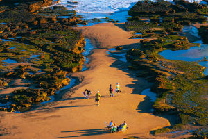 Ghé thăm thành phố gió