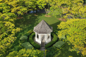 Gardens That Save Water