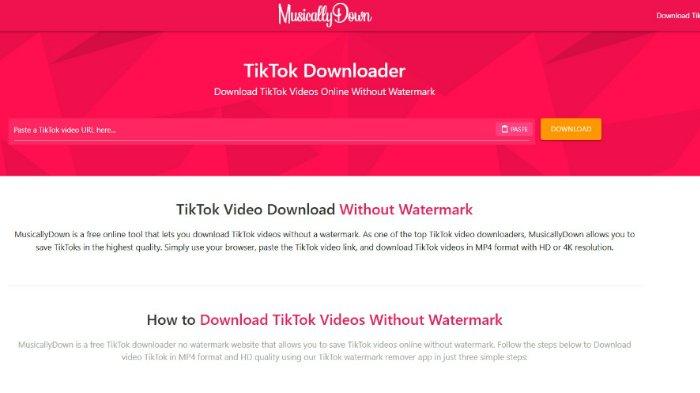 Tak cuma video HD, MusicallyDown juga bisa bantu simpan sound TikTok favoritmu.