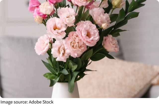 O segredo do vaso perfeito