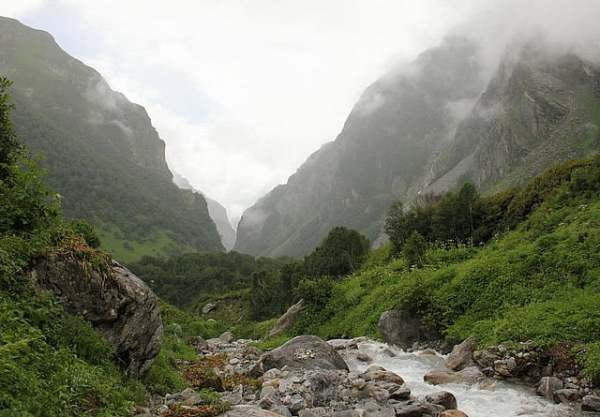 Valley of Flowers