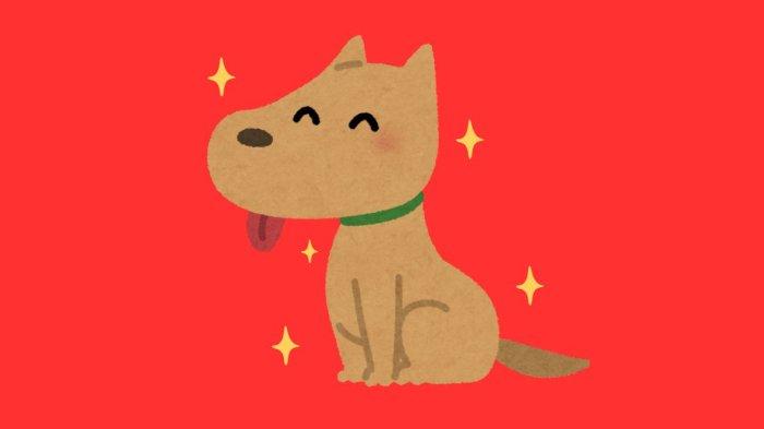 ILUSTRASI SHIO ANJING - Lambang Shio Anjing yang dibuat di Canva pada Jumat (13/6/2025).