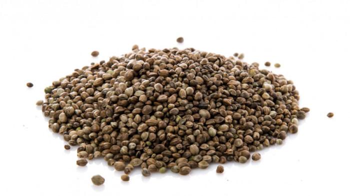 Ilustrasi Biji Fumayin (Hemp Seeds)