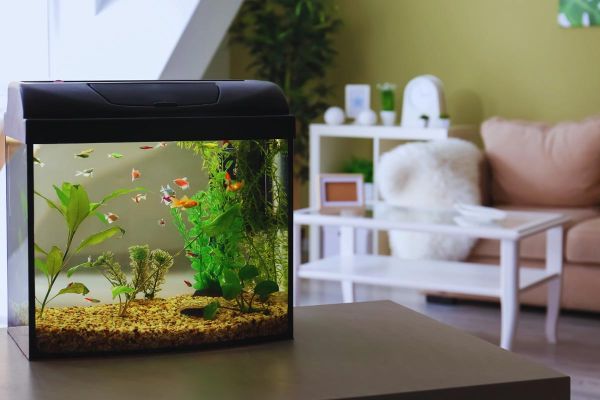 Boost Prosperity with Vastu Tips