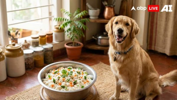 (Image Source: ABPLIVE AI)