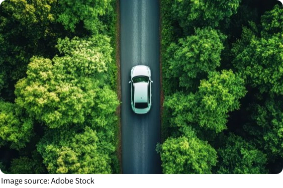 Cảnh báo va chạm hươu nai