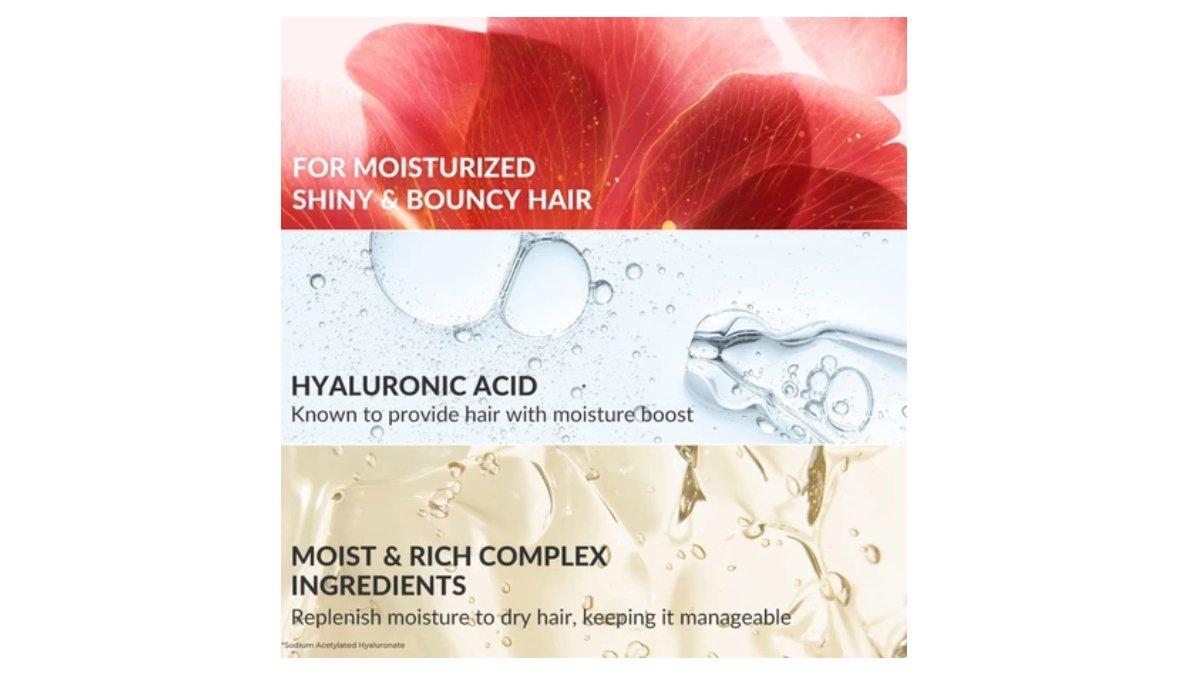 Ilustrasi kandungan utama TSUBAKI Premium Moist & Repair Shampoo