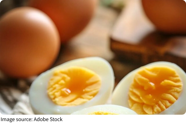 Comida Humana para Gatos