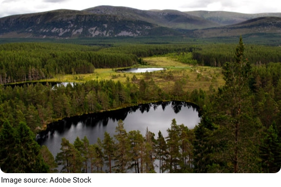 Uath Lochans Hidden Trails