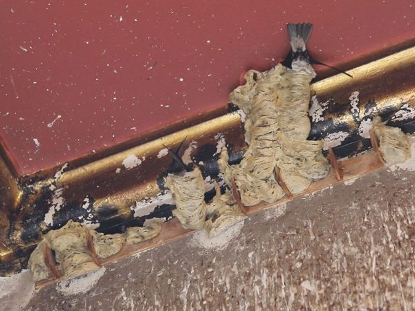 สดจากเยาวชน - ท่าฉลอม-มหาชัย เมืองคู่ข้ามกาลเวลา