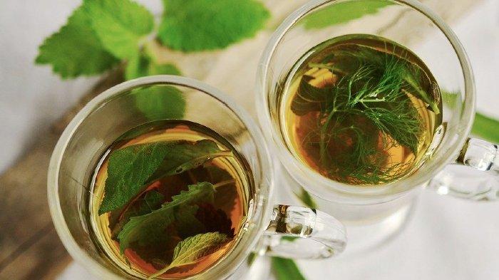 Teh daun mint